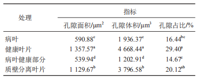 1617255207527841.png 黃瓜555.png